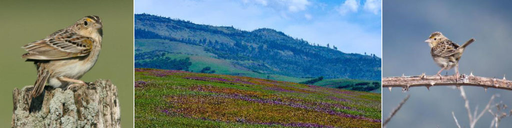 Imperatrice Property in Ashland