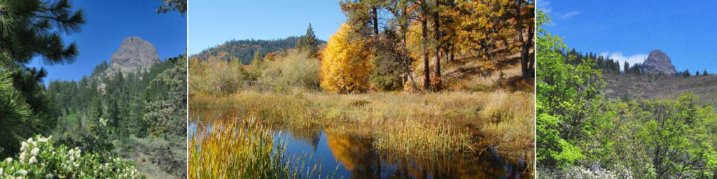 cascade-siskiyou
