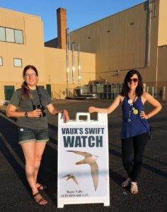 RVAS volunteers monitor swifts.