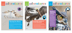 Audubon Adventures Student Magazine