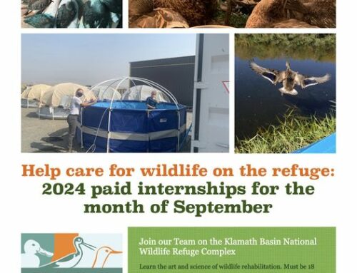 Paid Internships Available at Klamath Wildlife Refuge